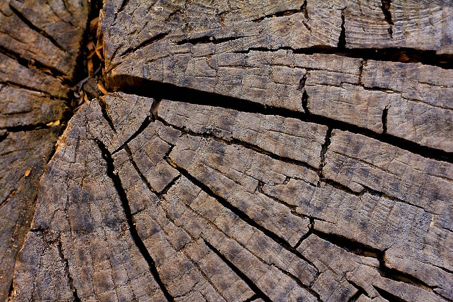 rough, nature, pattern, textile, bark, texture, dry, wood, lena HD wallpaper