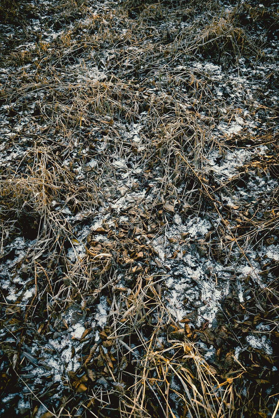 nature, ice, outdoors, frost, snow, ground, hail, pollution