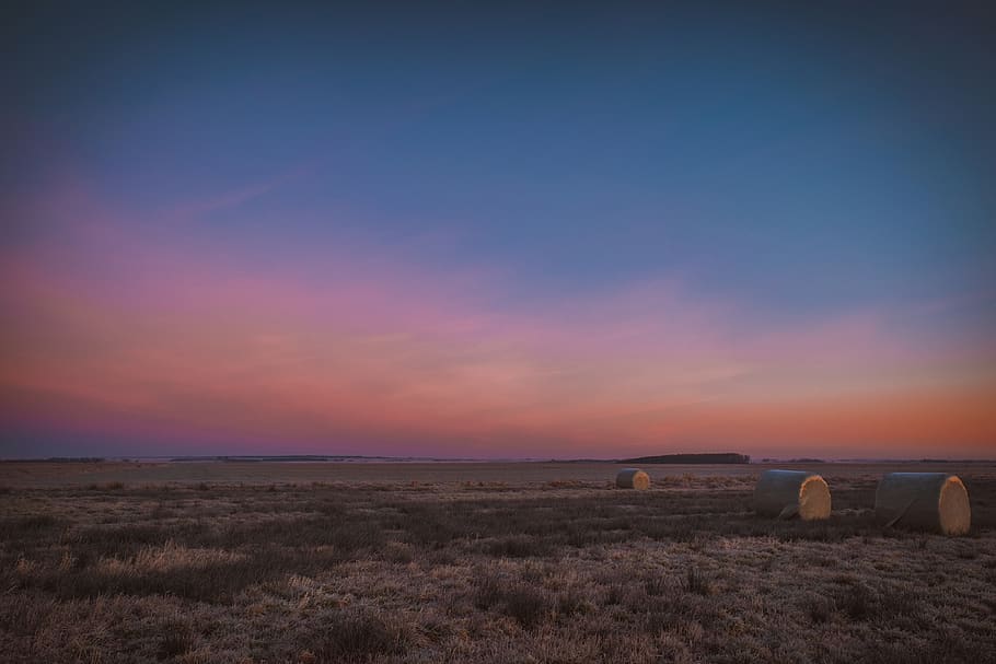 farming, agriculture, sky, winter, field, hay, straw, nature HD wallpaper