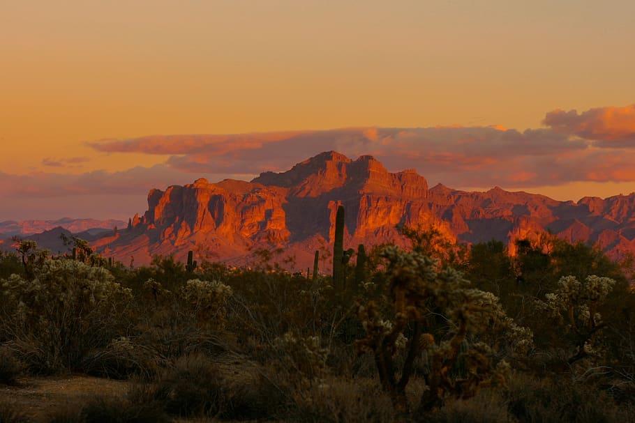 united states, superstition mountains, cactus, desert, sunset, HD wallpaper