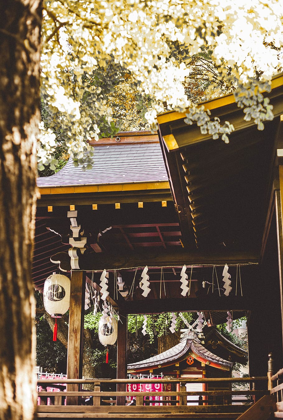 shade near tree, architecture, built structure, building exterior HD wallpaper