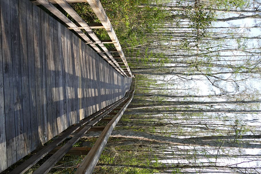 boardwalk, bridge, building, path, trail, railing, walkway HD wallpaper