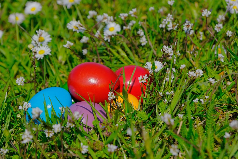 easter, easter eggs, colored, colorful, meadow, spring, sunny HD wallpaper