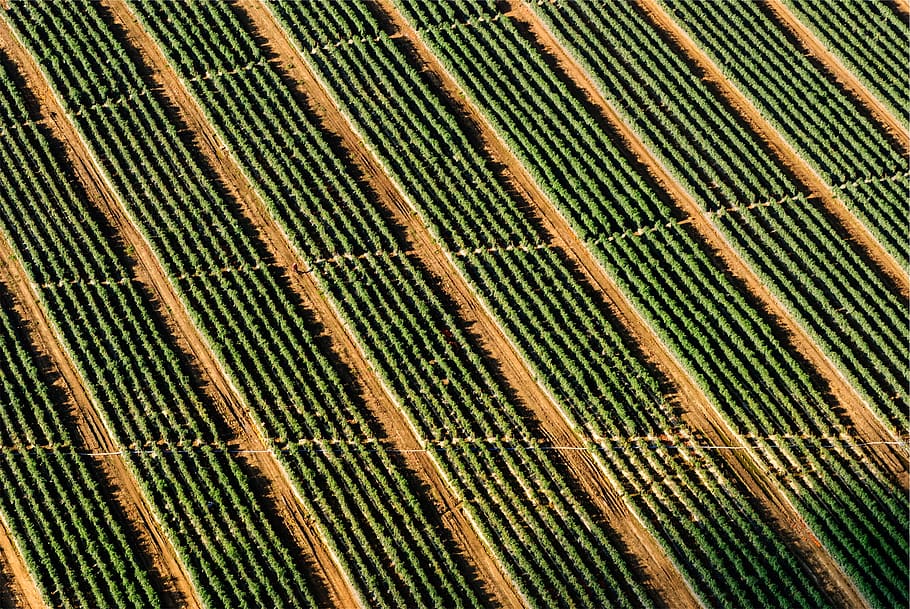 farm, fields, crops, dirt, aerial, view, full frame, pattern HD wallpaper