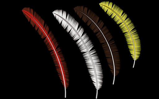 feather, spring, cropped, png, fantasy, nature, flying, transparent HD wallpaper