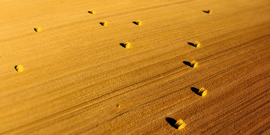 phantom, dji, drone, aerial, field, yellow, high angle view HD wallpaper