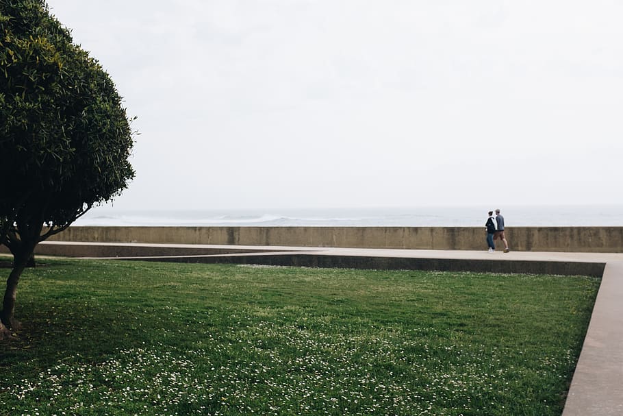 Couple Walking Pathway Near Green Grass, daylight, environment HD wallpaper