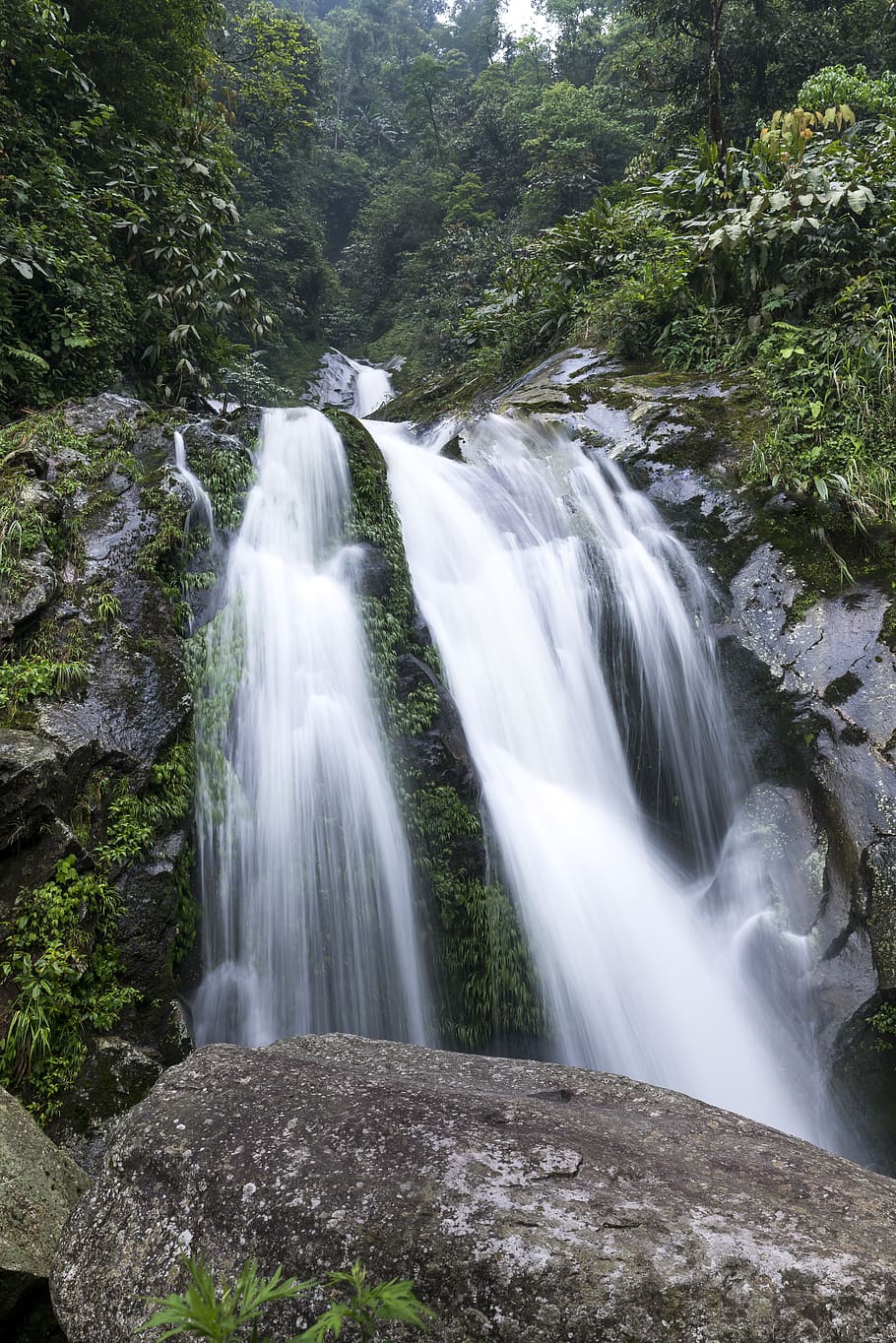 Waterfalls Near Trees, cascade, flow, mountain, nature, outdoors HD wallpaper