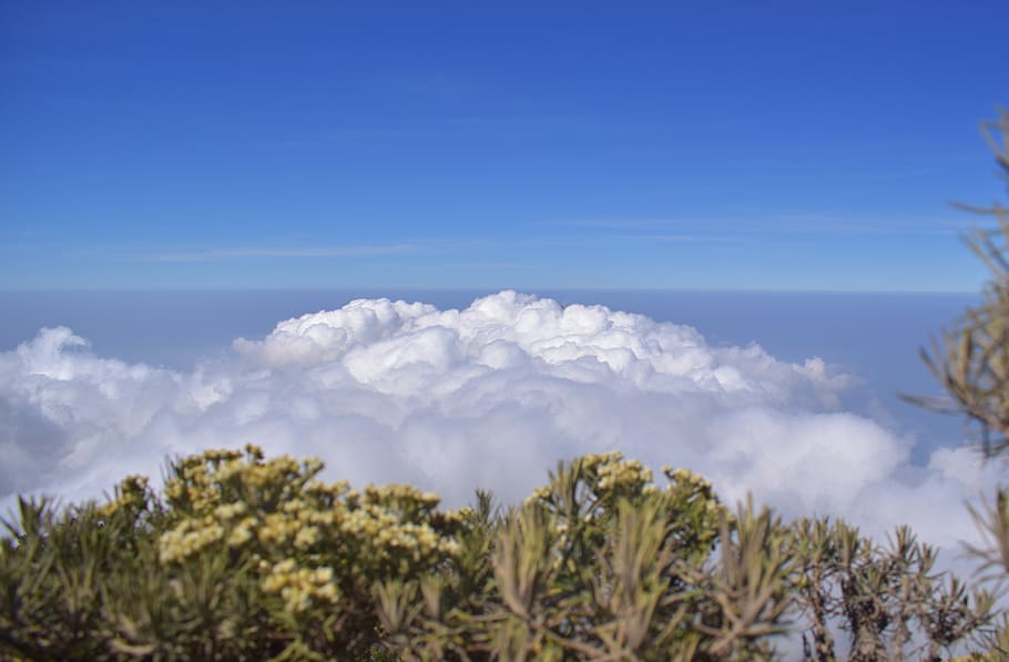 clouds, sky, summit, top, mountain, merbabu, indonesia, landscape HD wallpaper