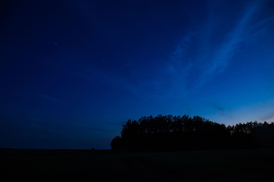 nature, sky, clouds, night, trees, shadows, silhouette, blue HD wallpaper
