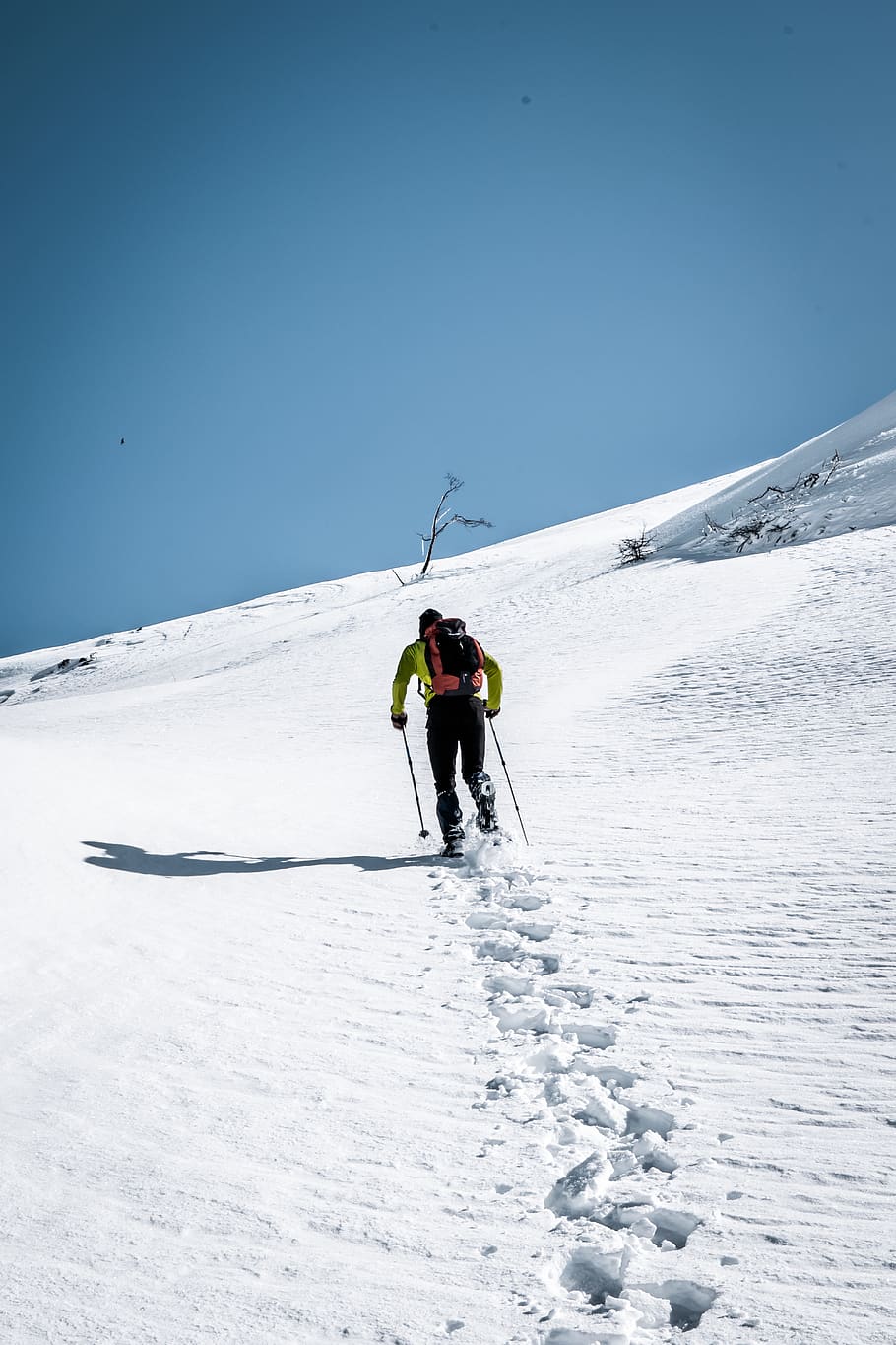 mountain, snow, winter, nature, climb, cold temperature, sport HD wallpaper