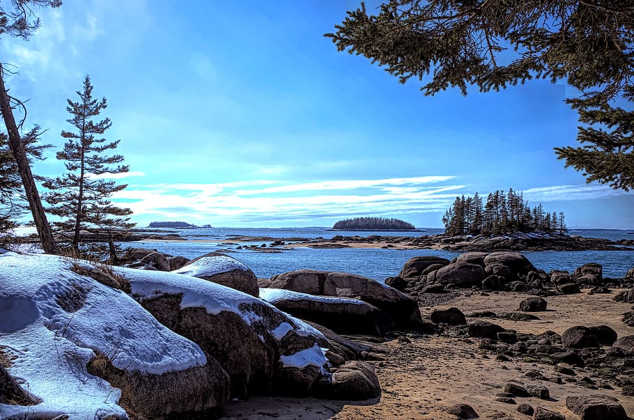 coast, ocean, winter, snow, sky, tree, water, beauty in nature HD wallpaper