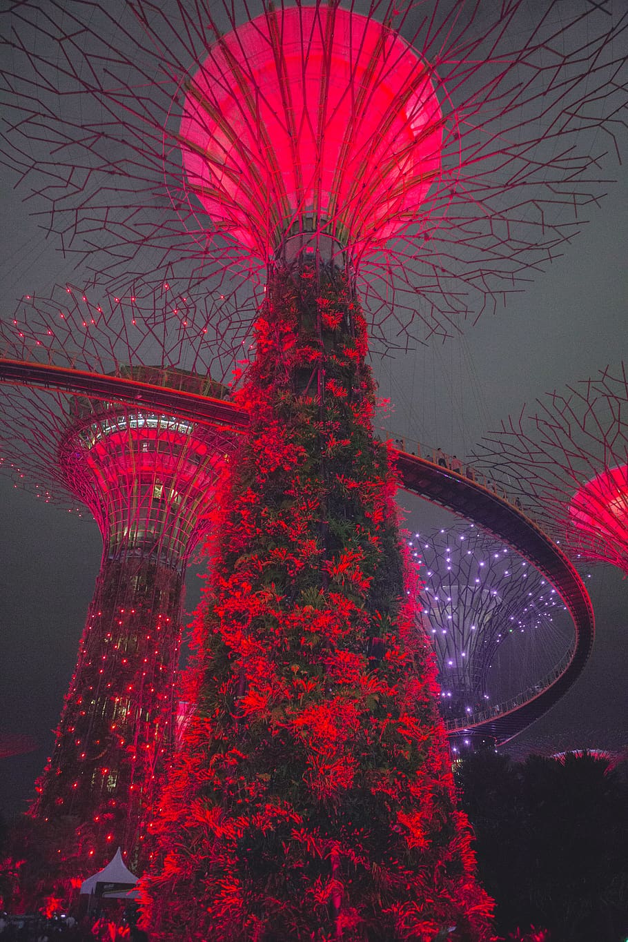 plants, forest, tree, marina bay, future, gardens by the bay HD wallpaper
