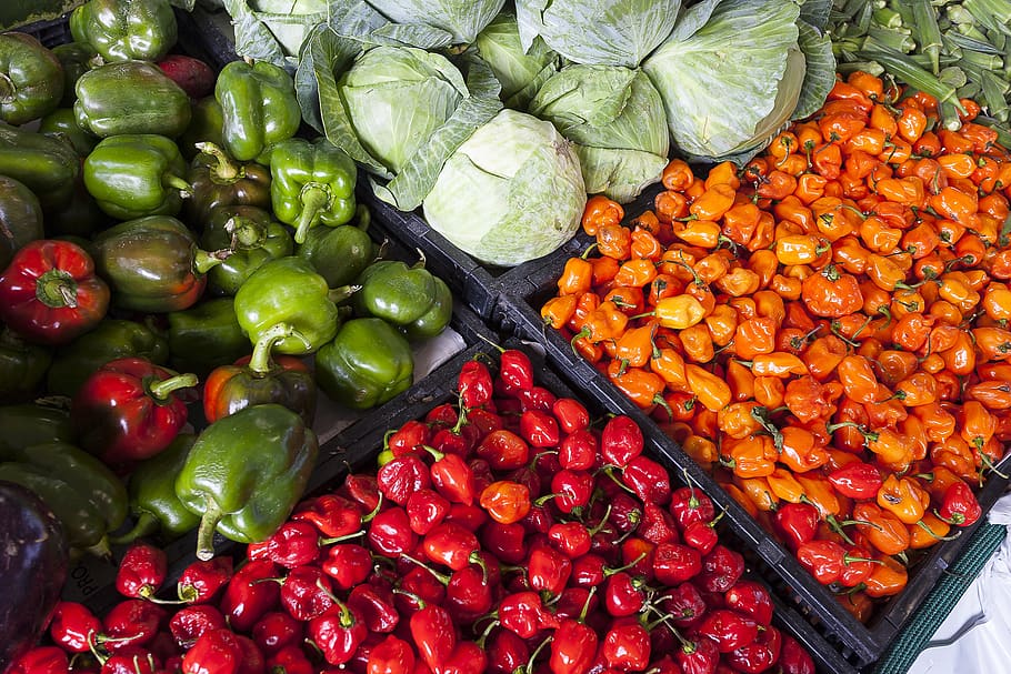 Assorted Vegetable Store Displays, abundance, agriculture, cabbage HD wallpaper