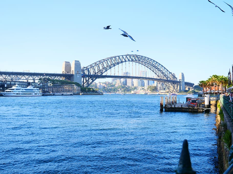 australia, sydney, water, built structure, architecture, flying HD wallpaper