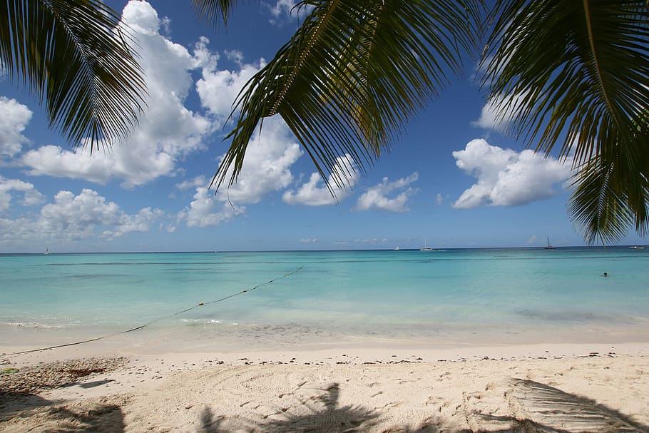 dominican republic, bayahibe, carribean, sea, beach, ship, nature, HD wallpaper