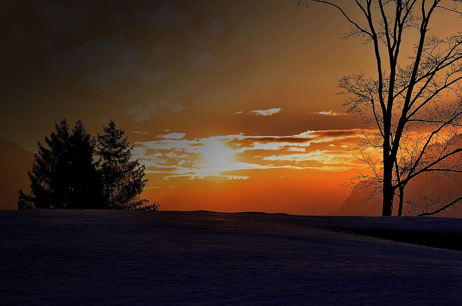 winter, cold, snow, ice, mountain, nature, landscape, tree HD wallpaper