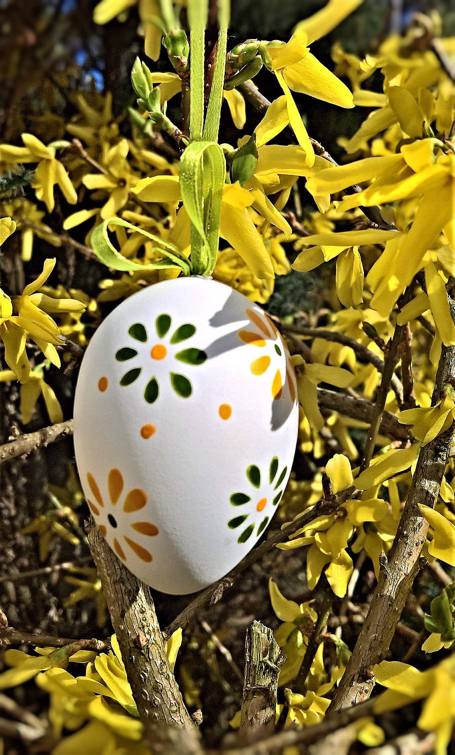easter, forsythia shrub, easter egg, easter tradition, forsythia flowers HD wallpaper