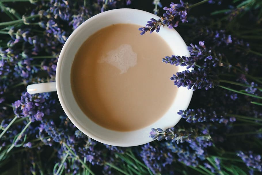 Coffee Filled on Mug Surrounded by Purple Flowers, aromatherapy HD wallpaper