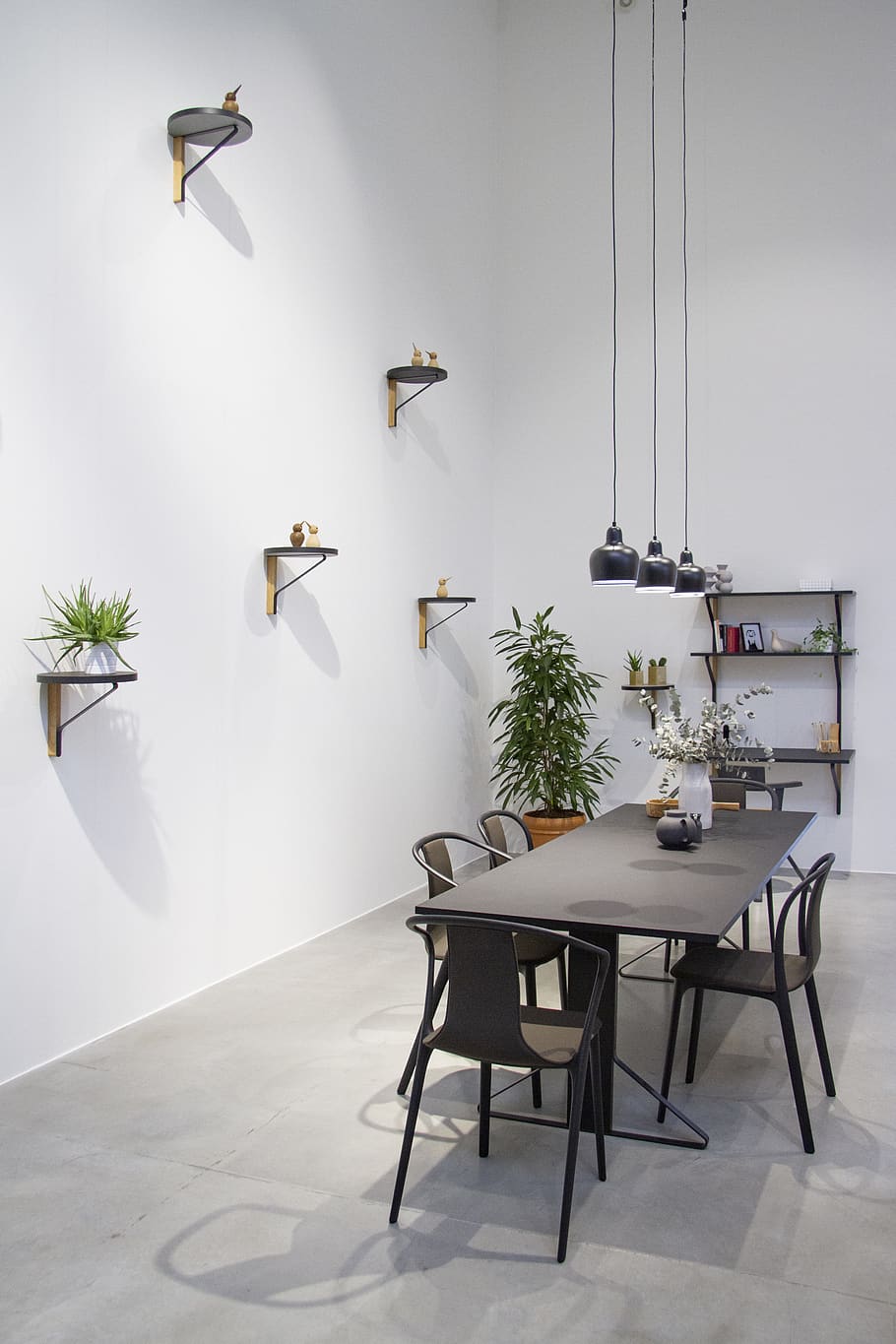 rectangular black wooden table with chairs, plant, indoors, seat HD wallpaper