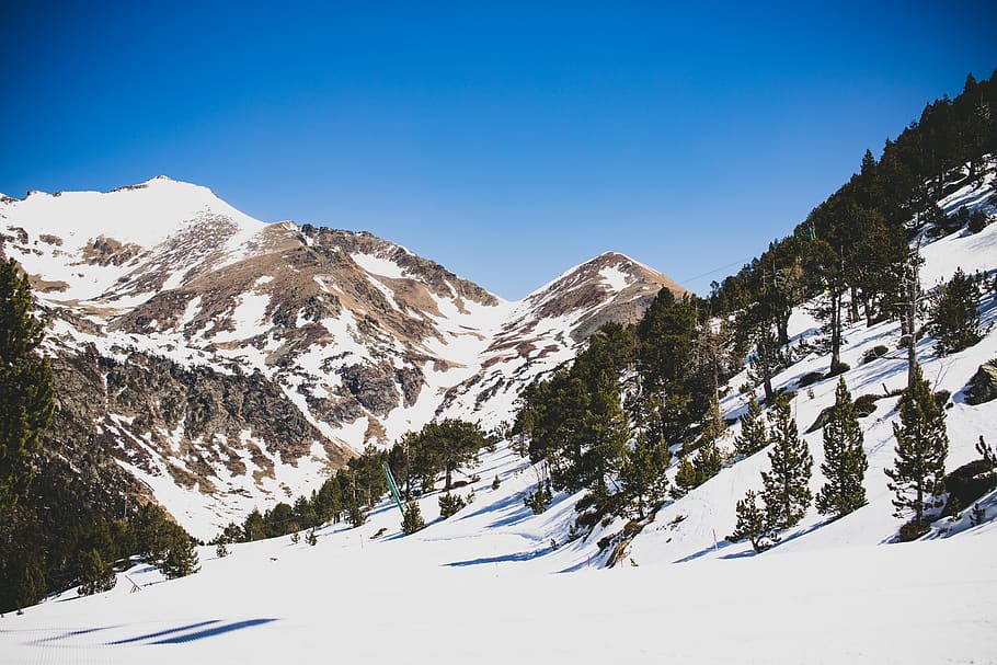 snow mountain, tree, plant, abies, fir, nature, outdoors, ice HD wallpaper