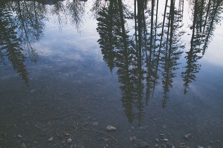 blue, serene, quiet, still, lake, drift, upside down, sky, forest HD wallpaper