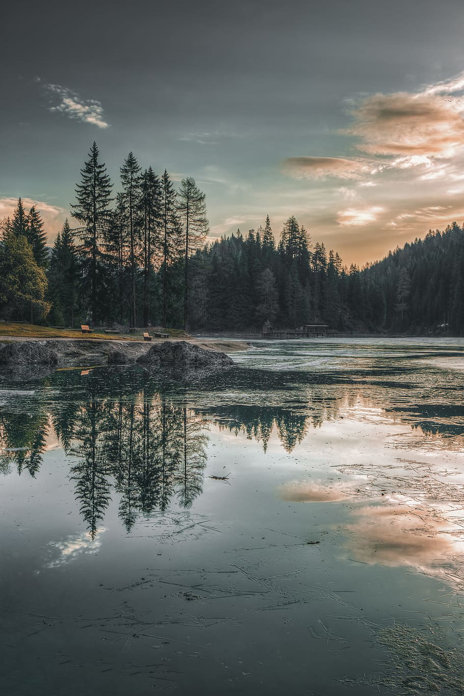 green trees reflection on body of water during golden hour, cloud HD wallpaper