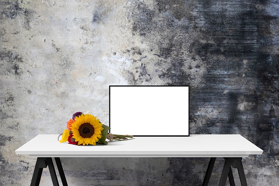 poster, frame, wall, desk, sunflower, flowering plant, table HD wallpaper
