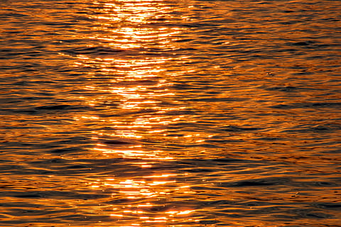 wave, background, water, texture, nature, hamburg, elbe, sunset HD wallpaper