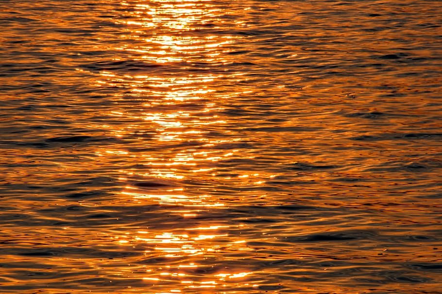 wave, background, water, texture, nature, hamburg, elbe, sunset HD wallpaper