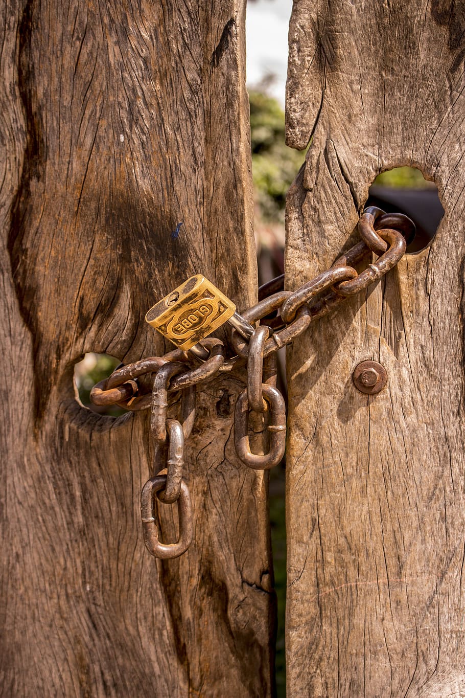 chains, doors, old doors, padlock, security, closed, no output HD wallpaper