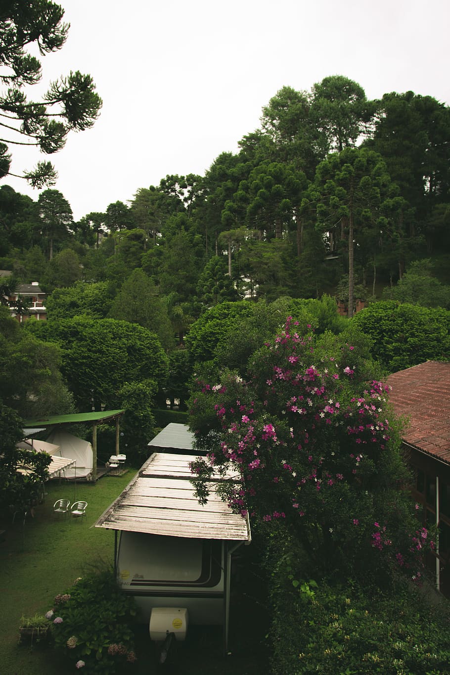 House Surrounded Trees, architecture, building, daylight, environment HD wallpaper