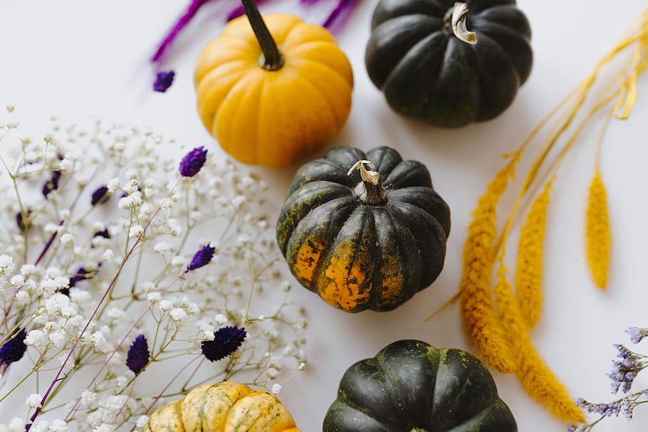 Small yellow and dark green pumpkins on a white background, yellow pumpkin