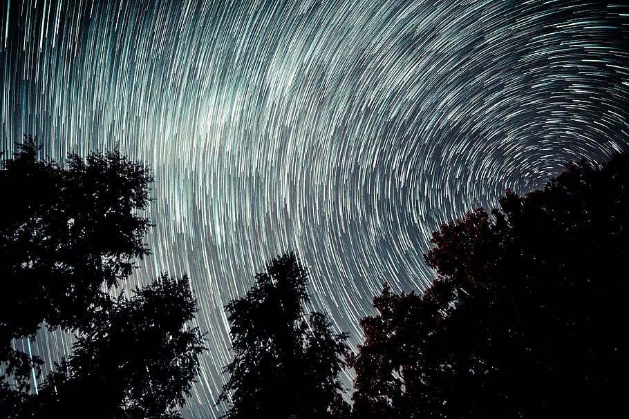 timelapse photography of starry sky, tree, light trail, star trail HD wallpaper