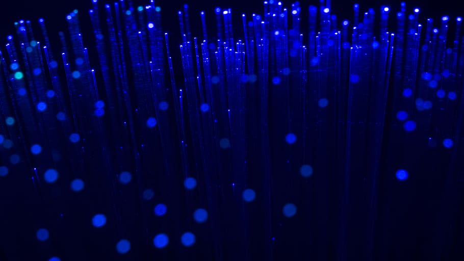 vivid, abstract, bright, illuminated, light, fiber optic, illuminating HD wallpaper