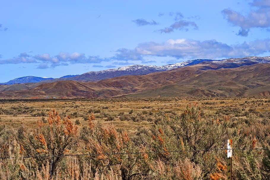 Brown And Green Grass Field, desert, dry, landscape, mountains HD wallpaper
