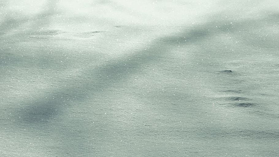 snow, outdoors, nature, texture, ice, animal, plant, sand, mammal HD wallpaper