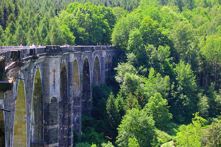 bridge, nature, forest, railway, landscape, travel, architecture, HD wallpaper