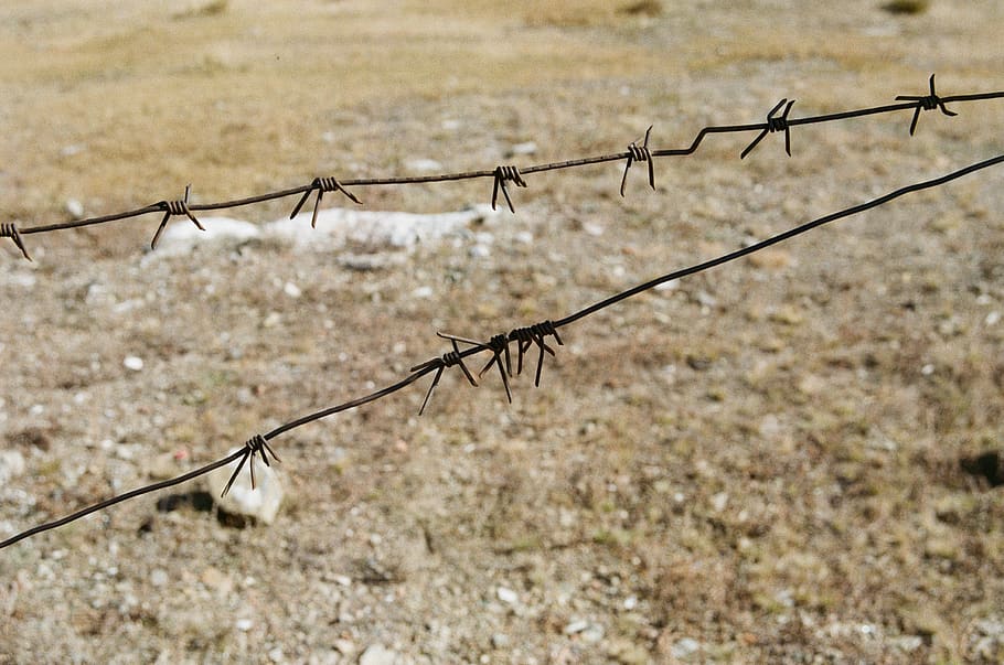 mongolia, ulaanbaatar, rural, steppe, barbedwire, closeup, fence HD wallpaper