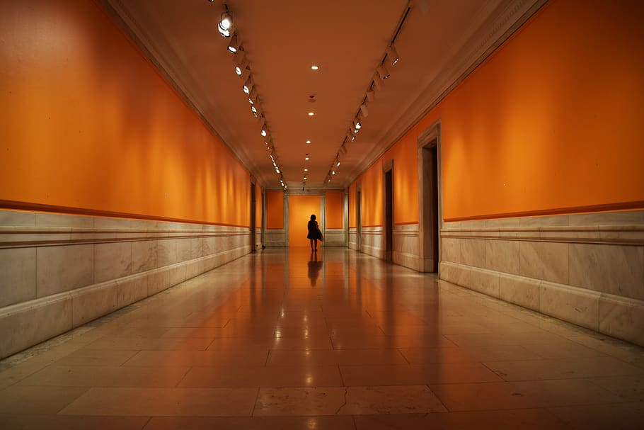 national library, new york, orange, perspective, architecture, HD wallpaper