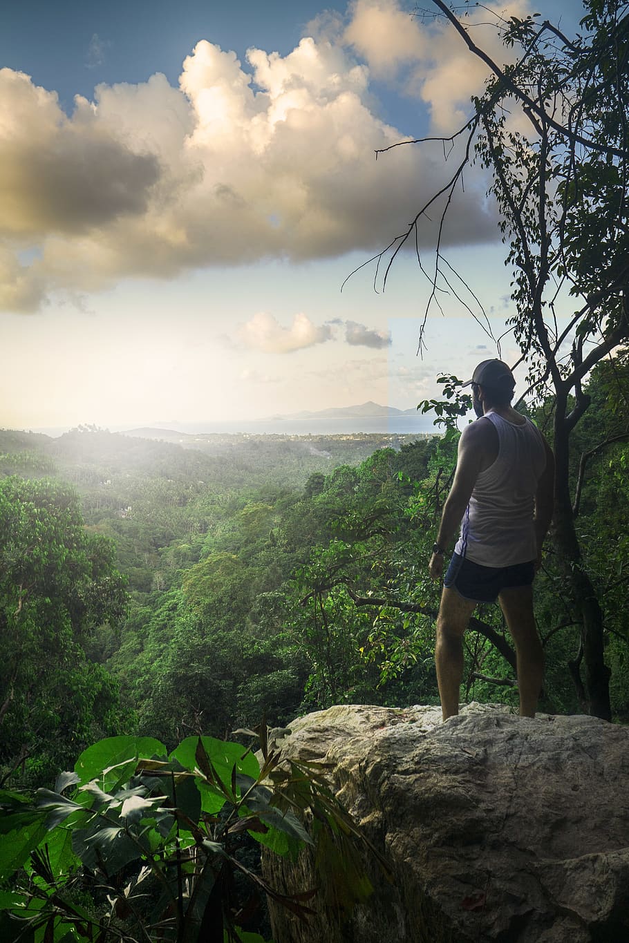 Man Standing On Cliff Surrounded By Trees, adventure, environment HD wallpaper