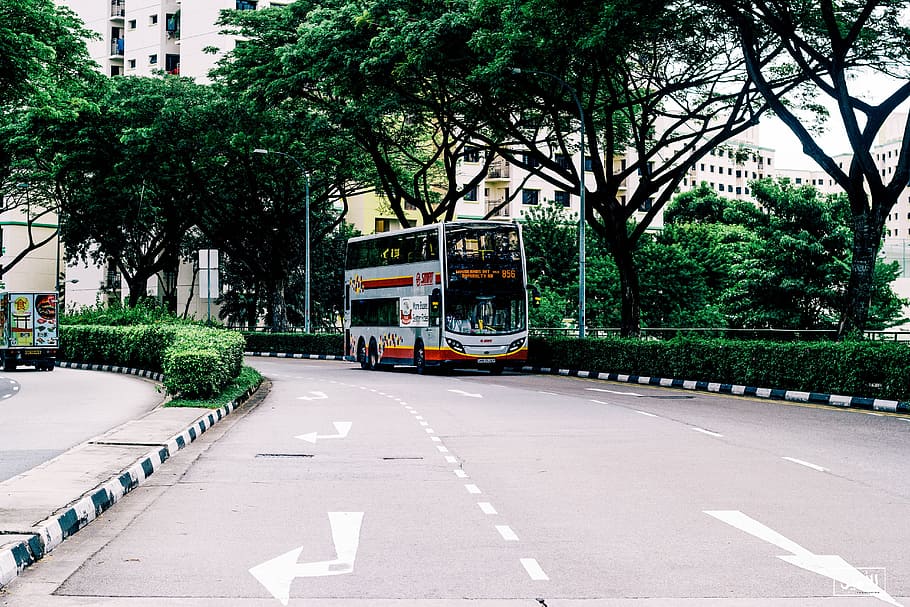 Photo of Gray and Orange Bus, architecture, building, city, daylight HD wallpaper