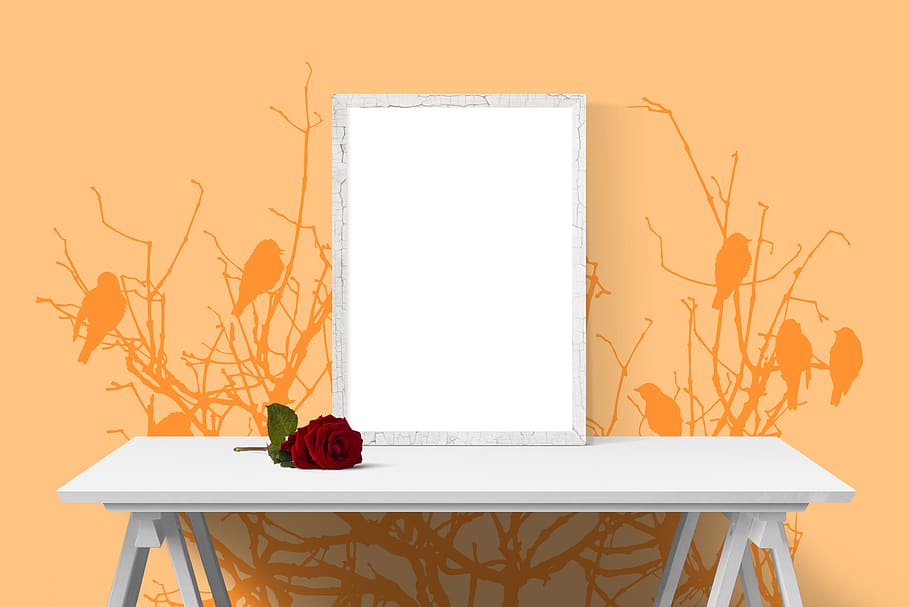 poster, frame, wall, desk, flower, rose, plant, no people, indoors HD wallpaper