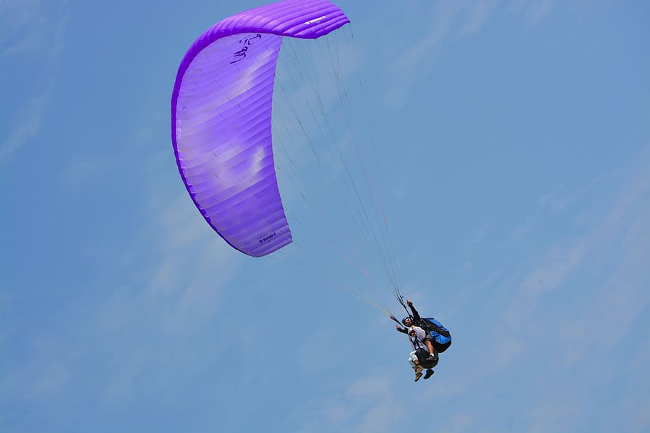 paragliding, paragliding bis place, duo, paragliders, harnesses, HD wallpaper