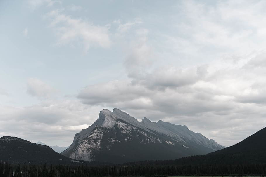 canada, banff, forest, tree, outside, adventure, explore, mountain HD wallpaper