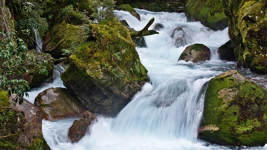 waterfall during daytime, plant, scenics - nature, beauty in nature HD wallpaper