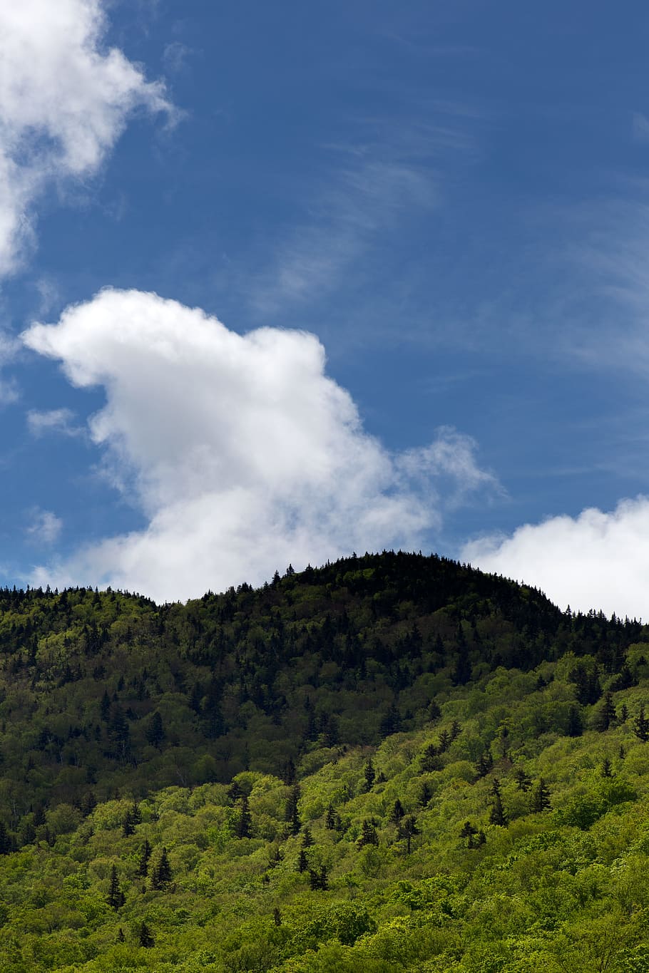 Landscape Photography of Tree-covered Rock Formation, clouds HD wallpaper