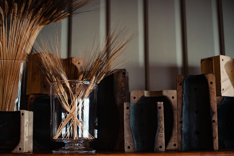 clear glass vase, shelf, wood, furniture, plywood, plant, animal HD wallpaper