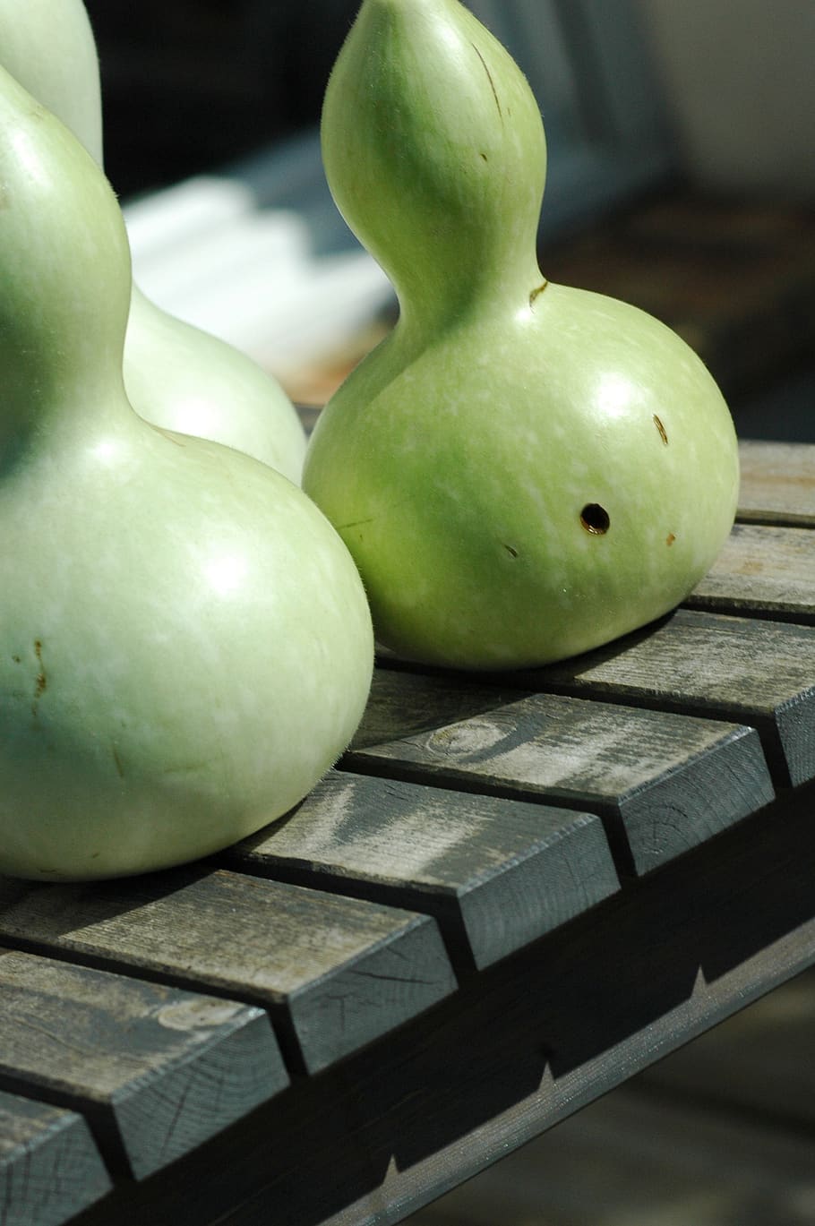 squash bottle, green, yard, healthy eating, food and drink HD wallpaper