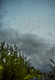 droplet, plant, grass, window, moody, glass, dark, rain, rain drops HD wallpaper
